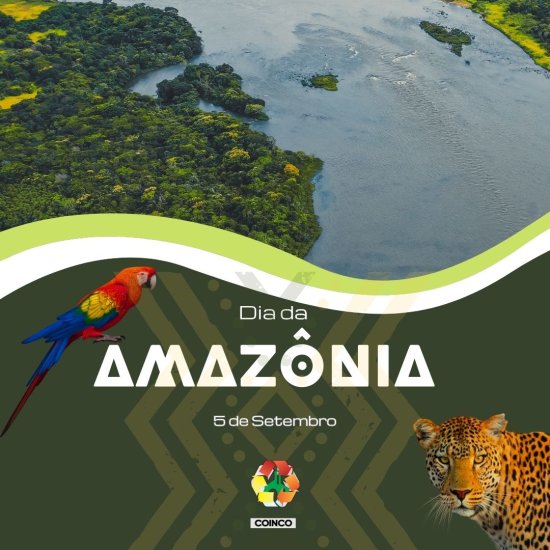 Dia da Amazônia